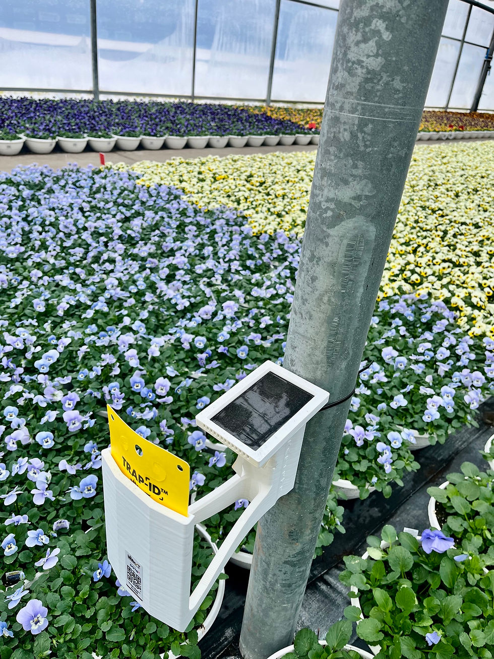 Photo: Trap-Eye™ surrounded by flowers
