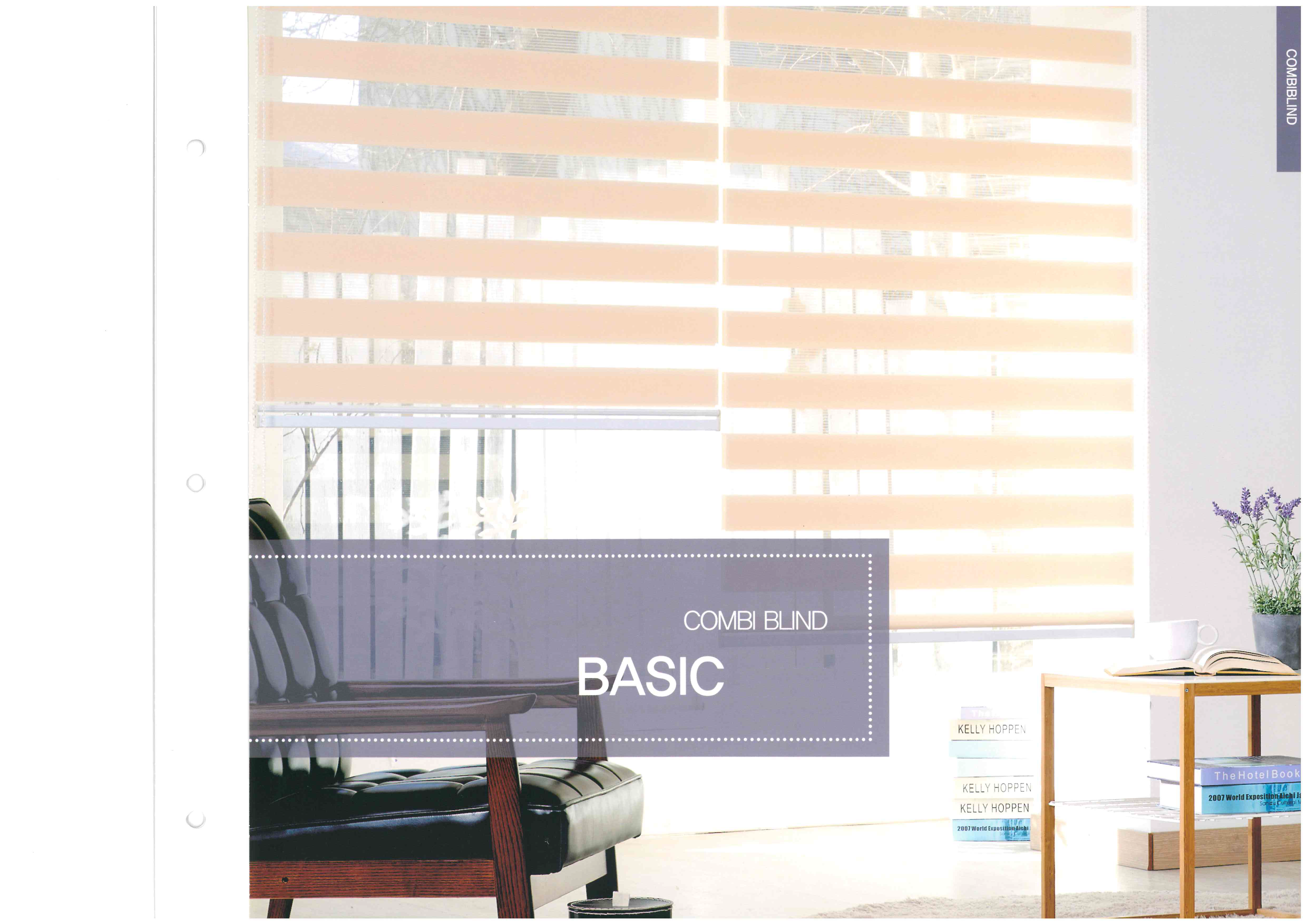 BASIC COMBI BLIND