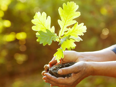 Atceries frāzi – viss būs, bet ne uzreiz