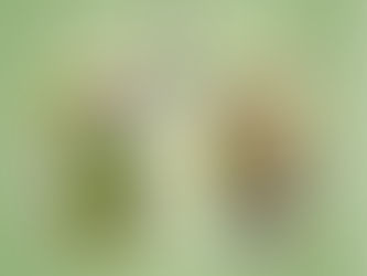 Второе дыхание моей трезвости