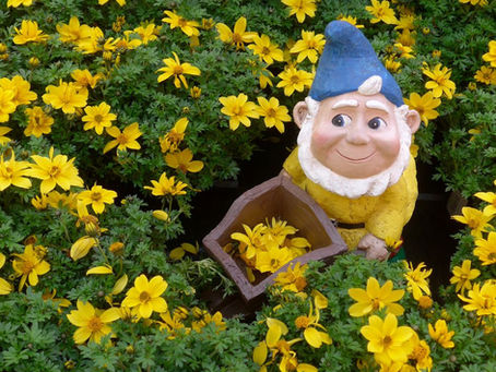 Dzert kā meistaram, dzīvot kā iesācējam