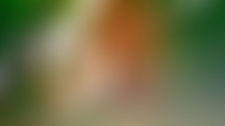 Ser vendido: sucesso ou fracasso?