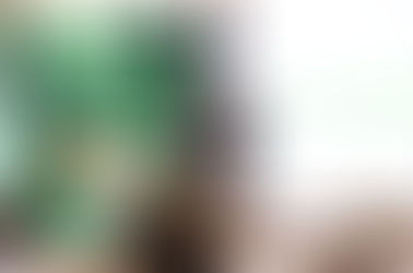 O presente de Natal do Sicredi