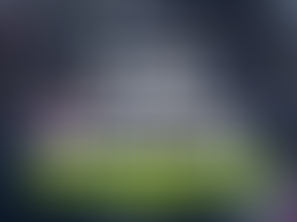 Advancing Physical and Intellectual Competence