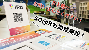 【コラム】「trivenPASS」で、出張先や外出先でも仕事効率UP！