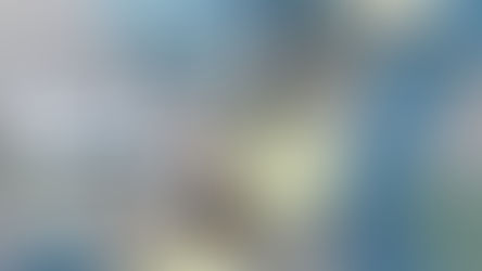 手作りの周辺ランチマップ