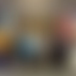 中米・コスタリカで女性起業家へ商品開発指導