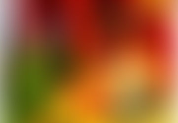 Sfânta sărbătoare a Învierii Domnului să vă aducă cele patru taine divine: încredere, lumină, iubire