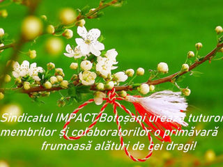 Sindicatul IMPACT Botoșani urează tuturor o primăvară frumoasă!