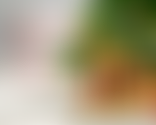 Mesaj din partea Sindicatului IMPACT Botoșani