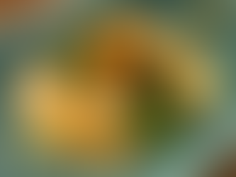 ランチメニューのご案内🍚🐟✨