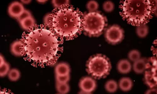 உகாண்டாவில் பரவும் 'டிங்கா டிங்கா' வைரஸ்- பெண்கள், சிறுமிகளே அதிகளவு பாதிப்பு