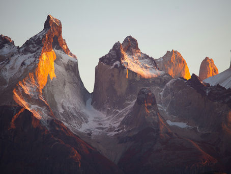 Embracing Purpose: Why B Corp Certification is a Game-Changer for Businesses