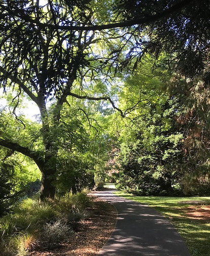Footpath in Hagley Park.jpg