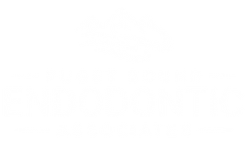 MAIN LOGO NO BACKGROUND_edited_edited.pn