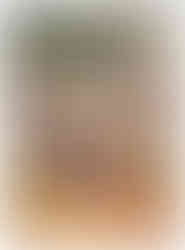 St. Louis-themed illustration by Mary Engelbreit