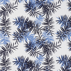 PALMFROND
