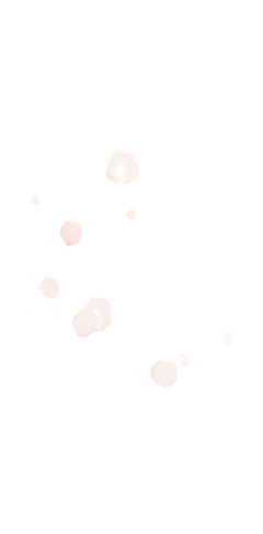 15.png