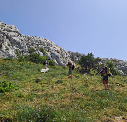 A la recherche du Semi-apollon
