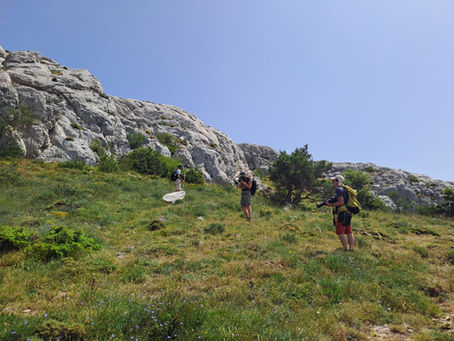 A la recherche du Semi-apollon