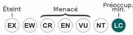 Préoccupation mineure