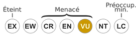 Vulnérable