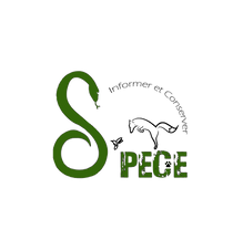 logo-vincent-V1-2.png