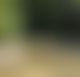 Week-end Naturaliste dans les Cévennes (Cosciences X S'PECE)