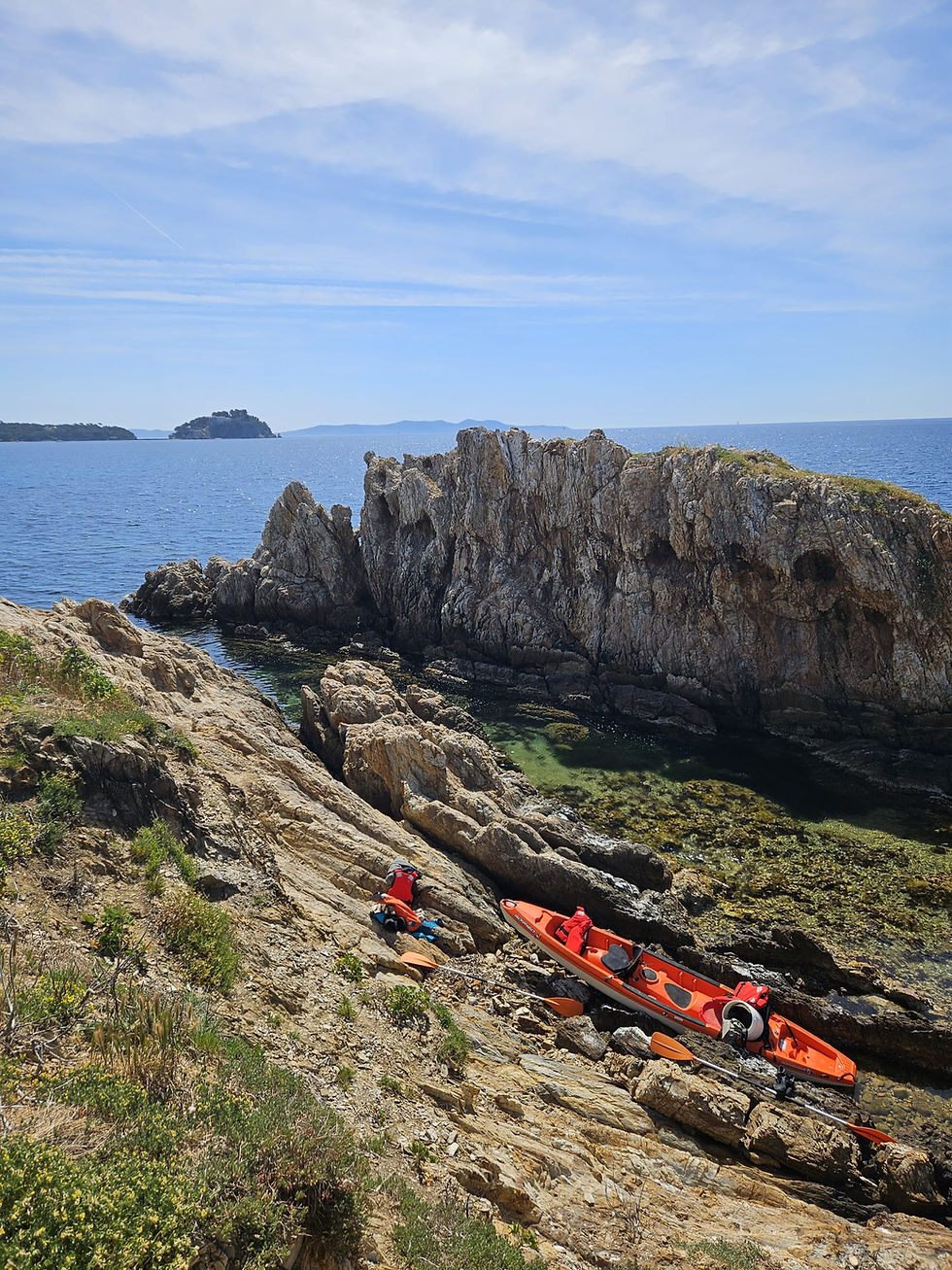 Inventaire naturaliste sur les PIM