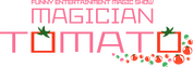 magician flame