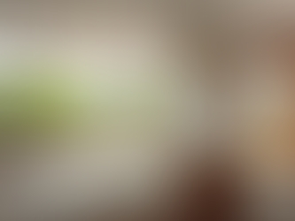 Hardwood or Luxury Vinyl Plank: Best Flooring Choice for Your Home