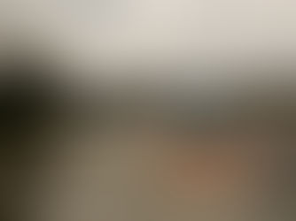 Auslaufende Betriebsstoffe, L439