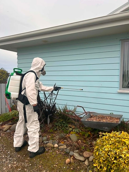 bugspraying.jpg