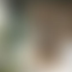 The Spa Retreat Bathroom: Bringing Calm, Nature & Luxury into Your Home