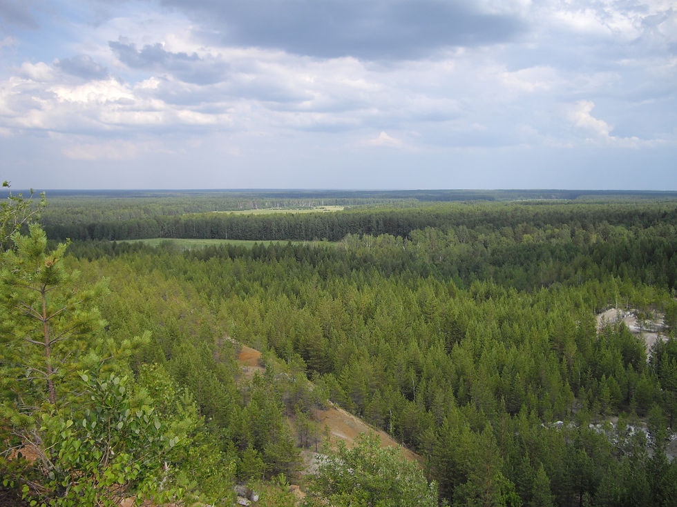 1-IMGP3614.JPG