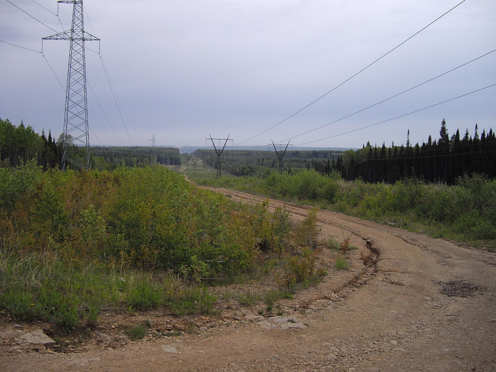 1-IMGP3225.JPG