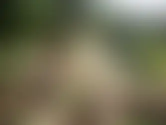 The Magic of Fermented Plant Nutrients: Cultivating Life Through Nature’s Intelligence