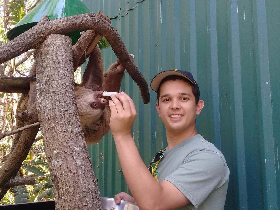 Wildlife and Turtle Conservation in Costa Rica