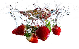 food, nutrition