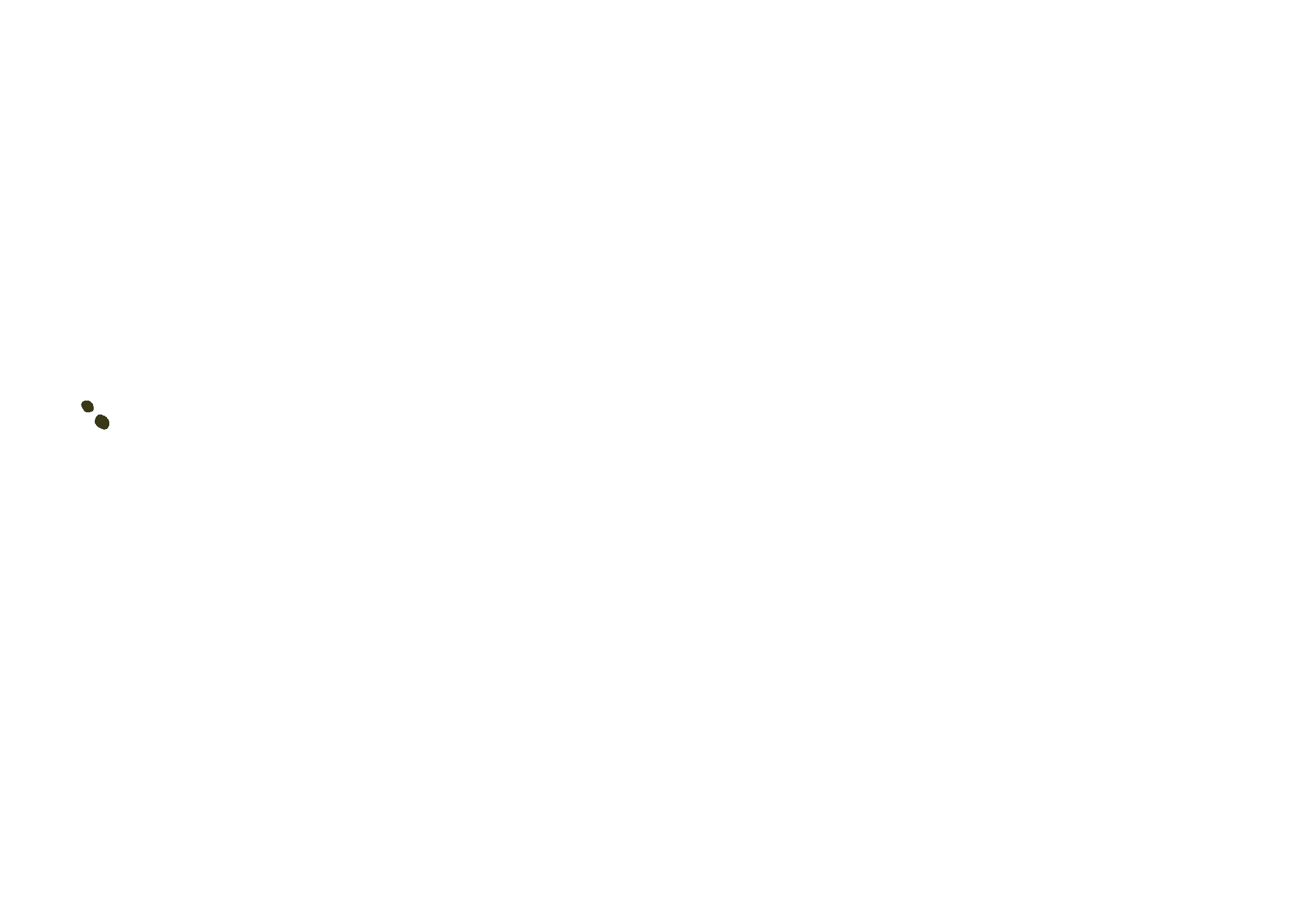flourish_animated_logo_1 2.gif