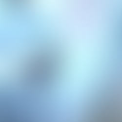 What do you do After an Accident?