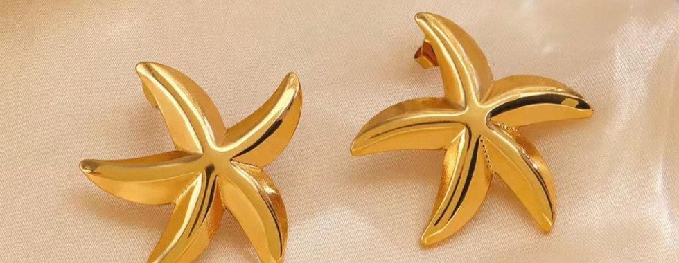 GenZ trend start shaped korean earrings