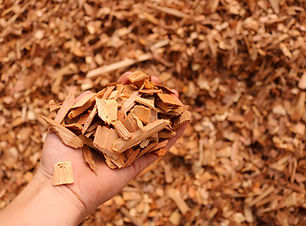 Cedar Chip.JPG