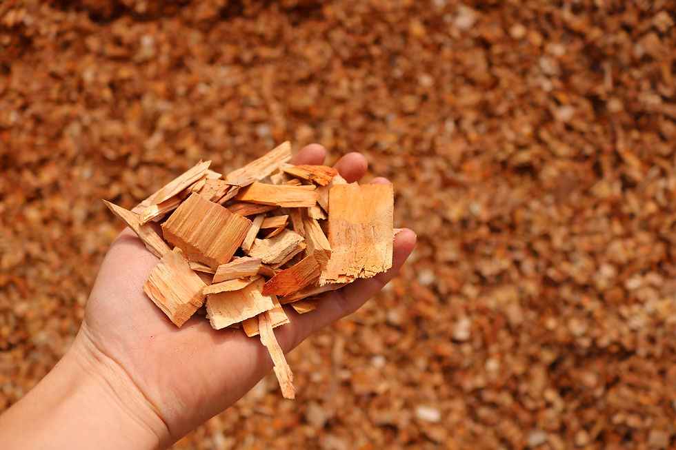 Alder Chip