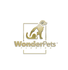 Wonder pets1_edited.png