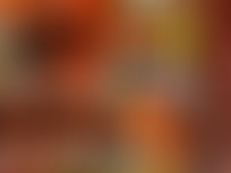 From Sumbawa Indonesia to India: A Successful International Pet Relocation Journey