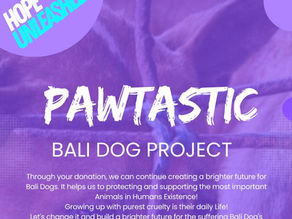 🐾 We’re Breaking Ground -Help Us Build Their Future! 🐾