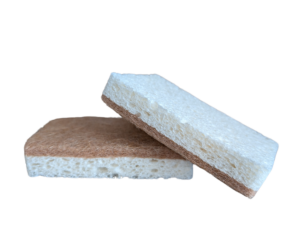 Sisal Wood and cotton (plant based) sponge