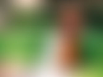 Water Distribution System Flush