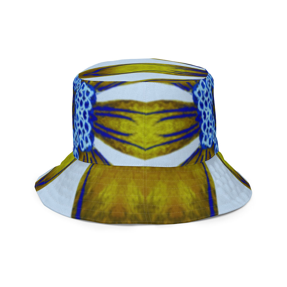 Thumbnail: RBH12 Reversible Bucket Hat
